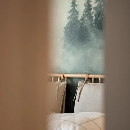 Wiselka Apartment